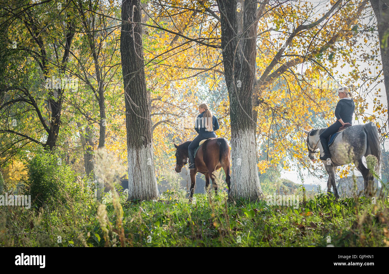 Girls  riding a horse on autumn forest Stock Photo