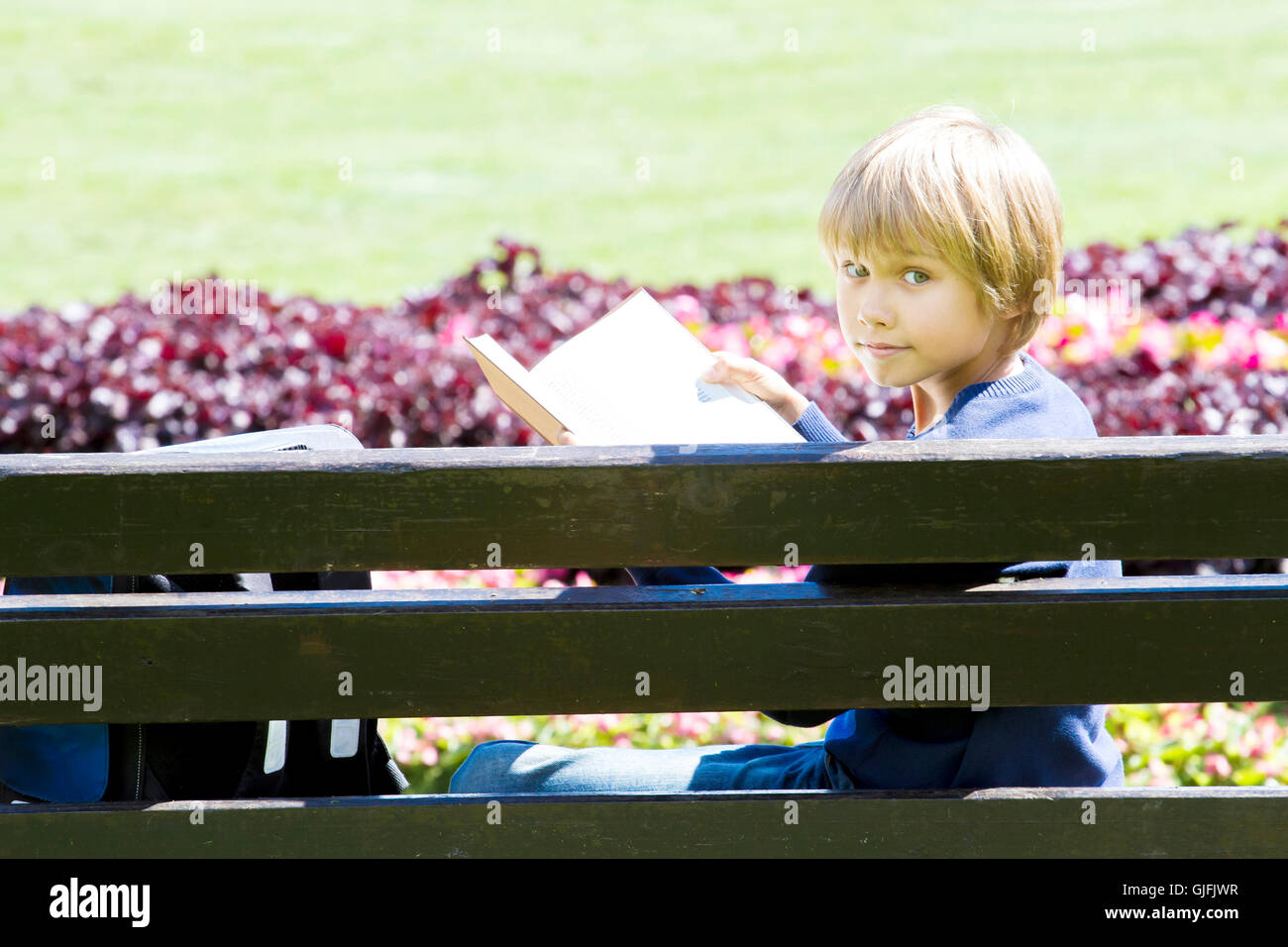 Little boy reading book on bench in the park Stock Photo - Alamy