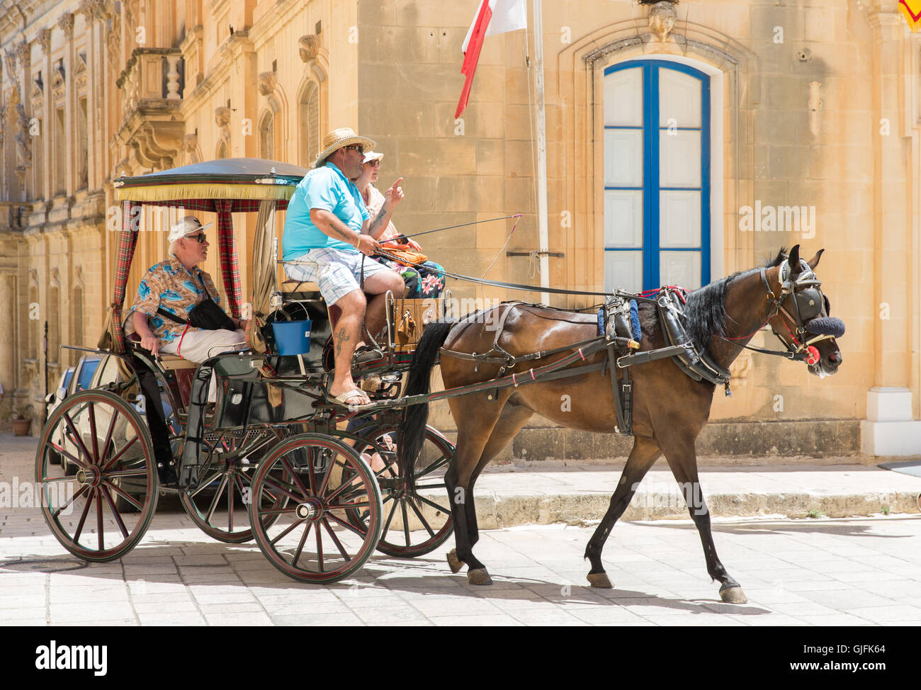 A traditional Maltese horse and carriage showing tourists around the