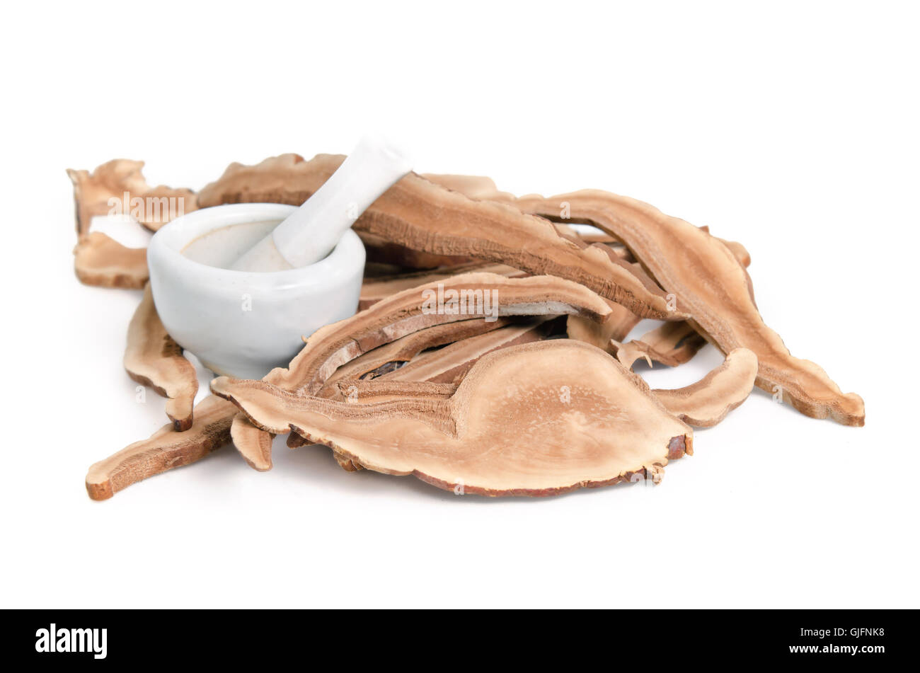 Dried lingzhi mushroom (Also called as Reishi mushroom in Japan, Lingcheu in Thailand, Lingzhi mushroom in China, Ganoderma Luci Stock Photo