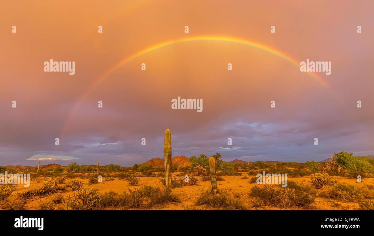 Double Rainbow in the Sonoran Desert National Monument Stock Photo