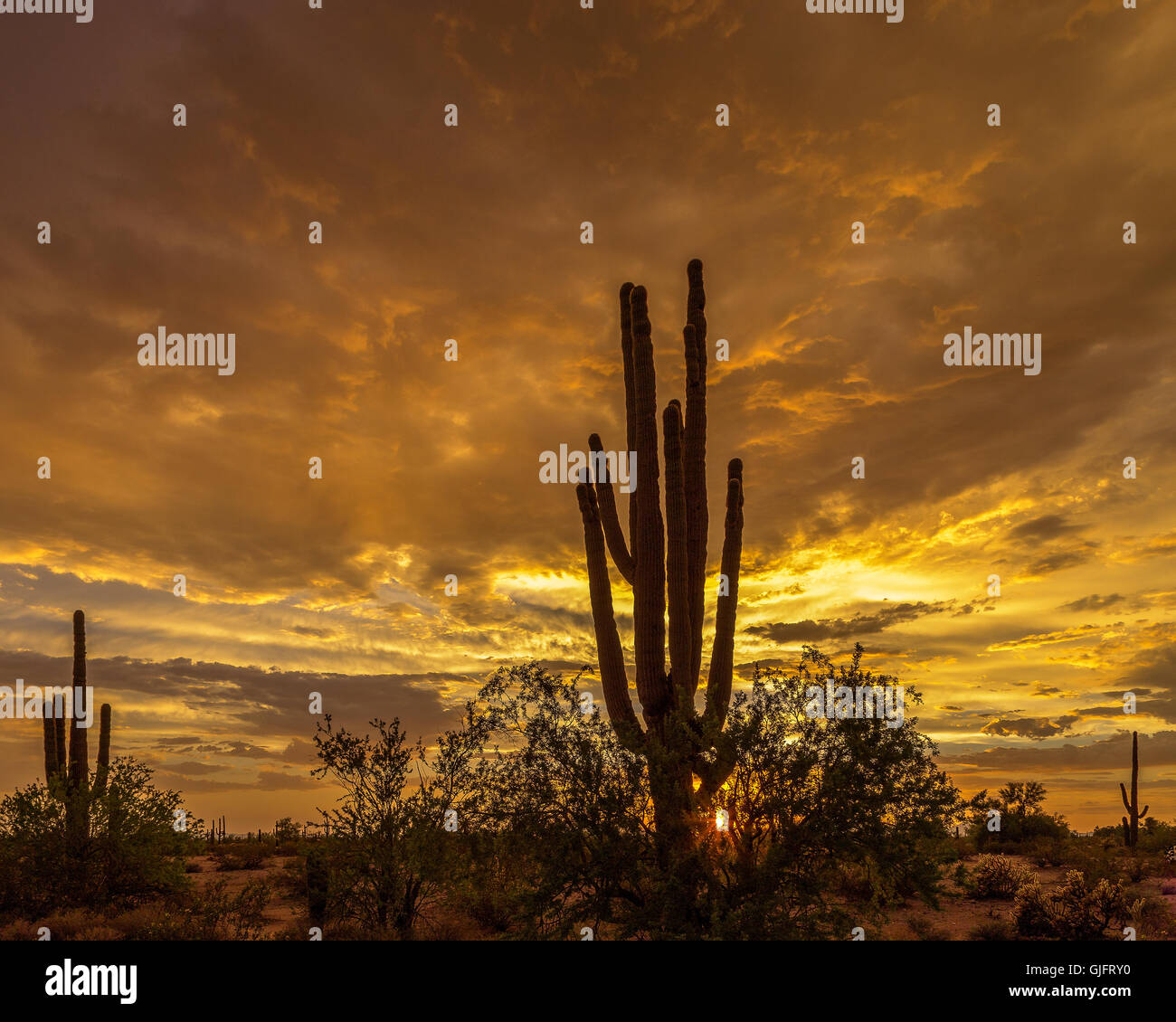 Sonoran Sunset Stock Photo