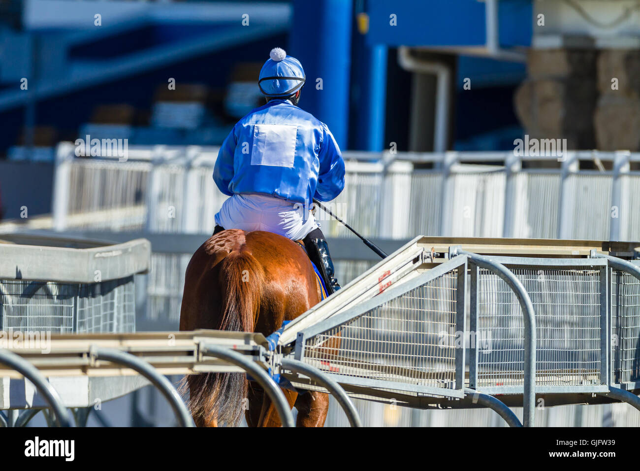 Race horse jockey down to starting gates on synthetic poly track Stock Photo