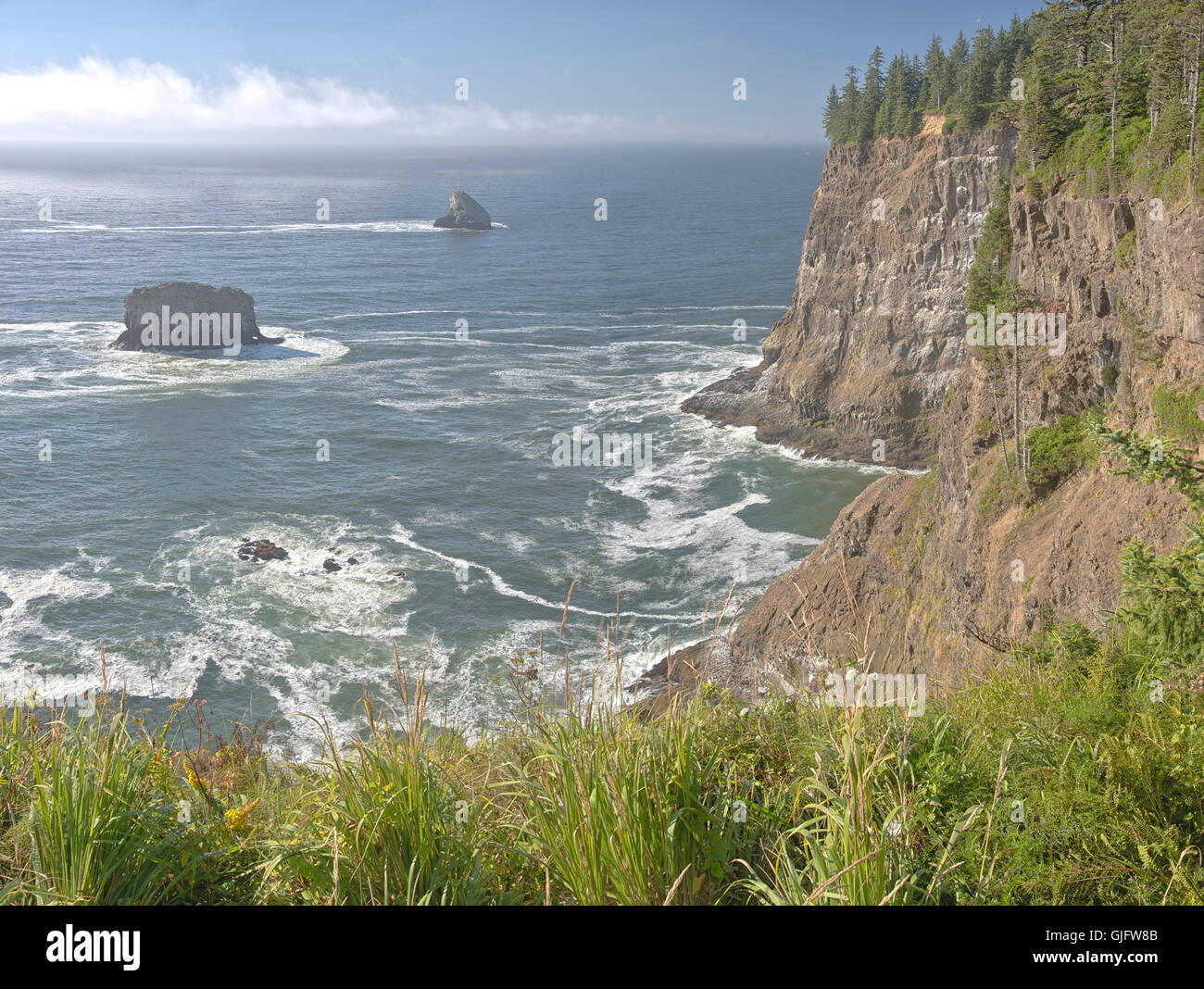 Cape Meares beach cliffs and surroundings Oregon coast. Stock Photo