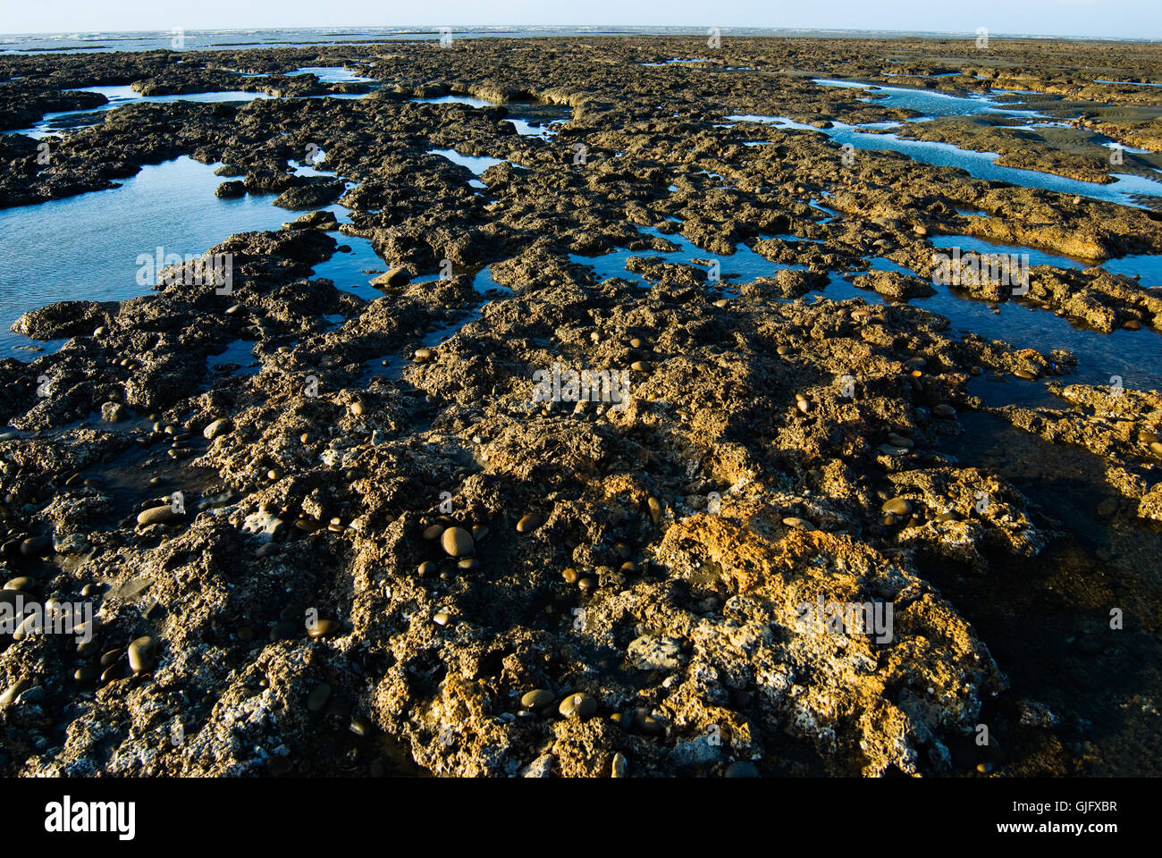Empty rocky beach in hi-res stock photography and images - Alamy