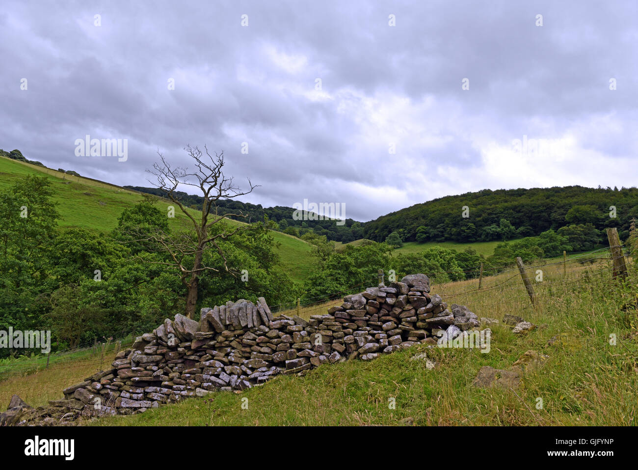 A crumbling dry stone wall in the Peak District National Park with rolling hills in the background under a grey cloudy sky Stock Photo