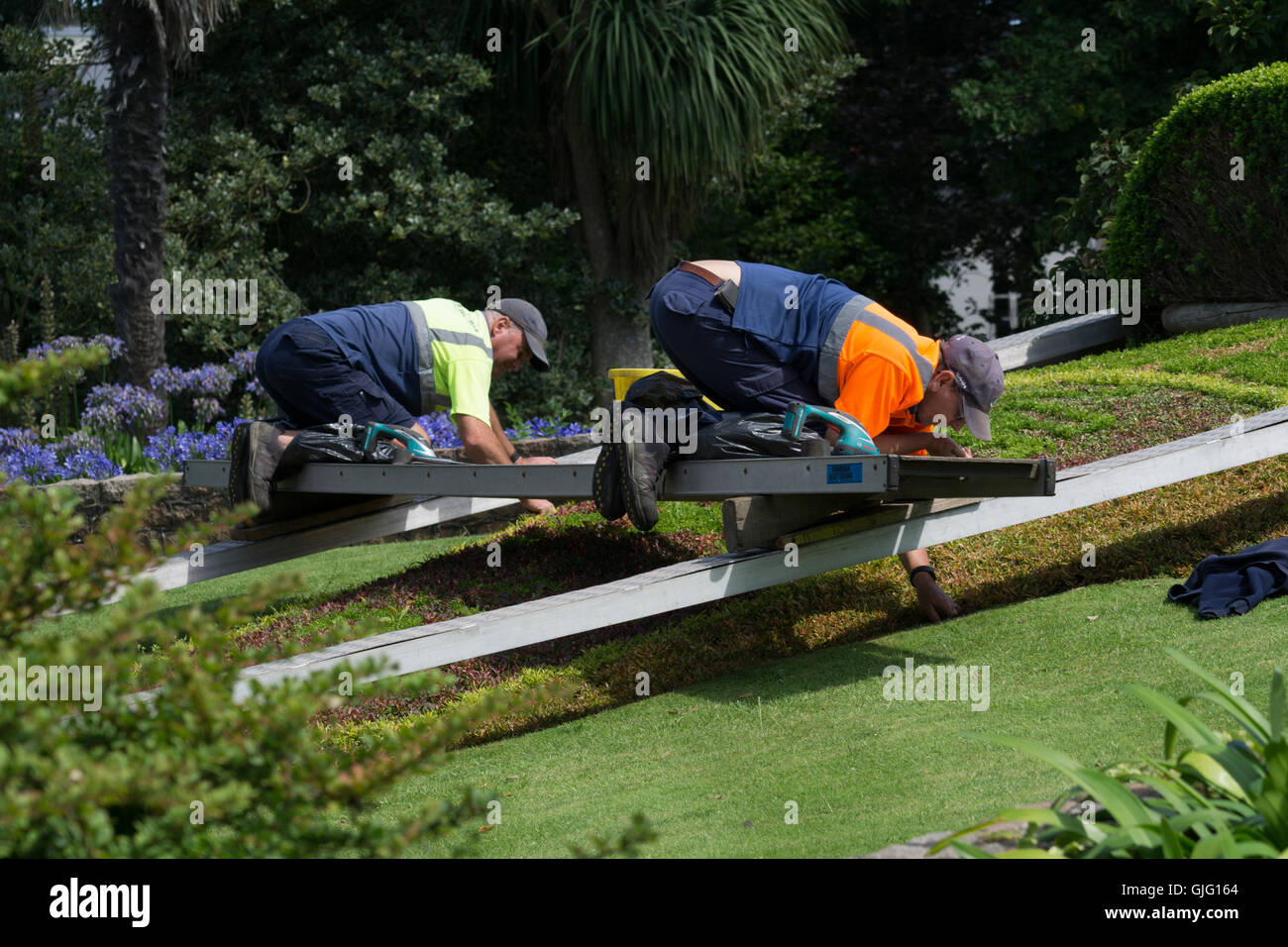 Gardeners maintaining flower beds in Howard Davis Park,St.Helier,Jersey,Channel Islands Stock Photo