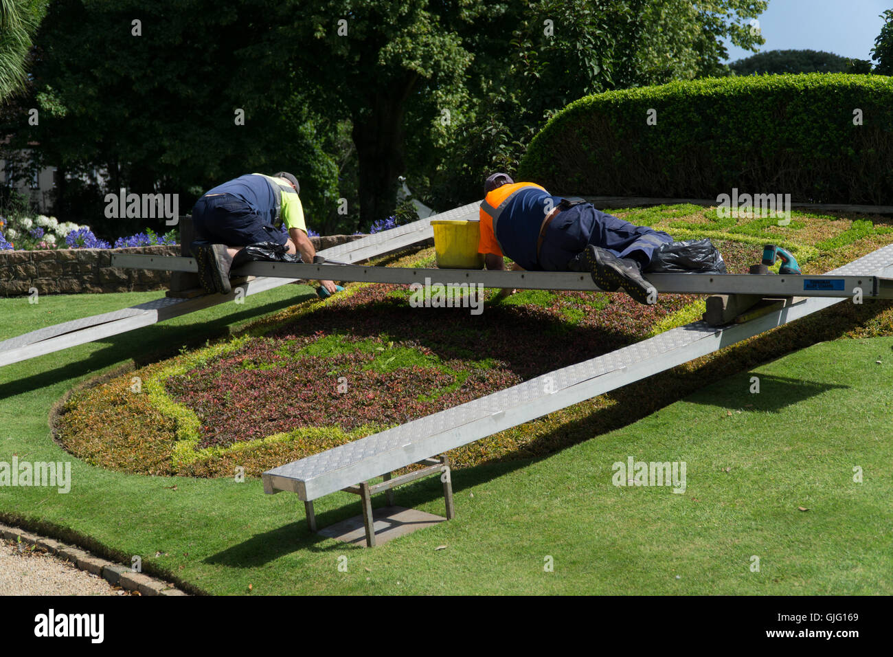 Gardeners maintaining flower beds in Howard Davis Park,St.Helier,Jersey