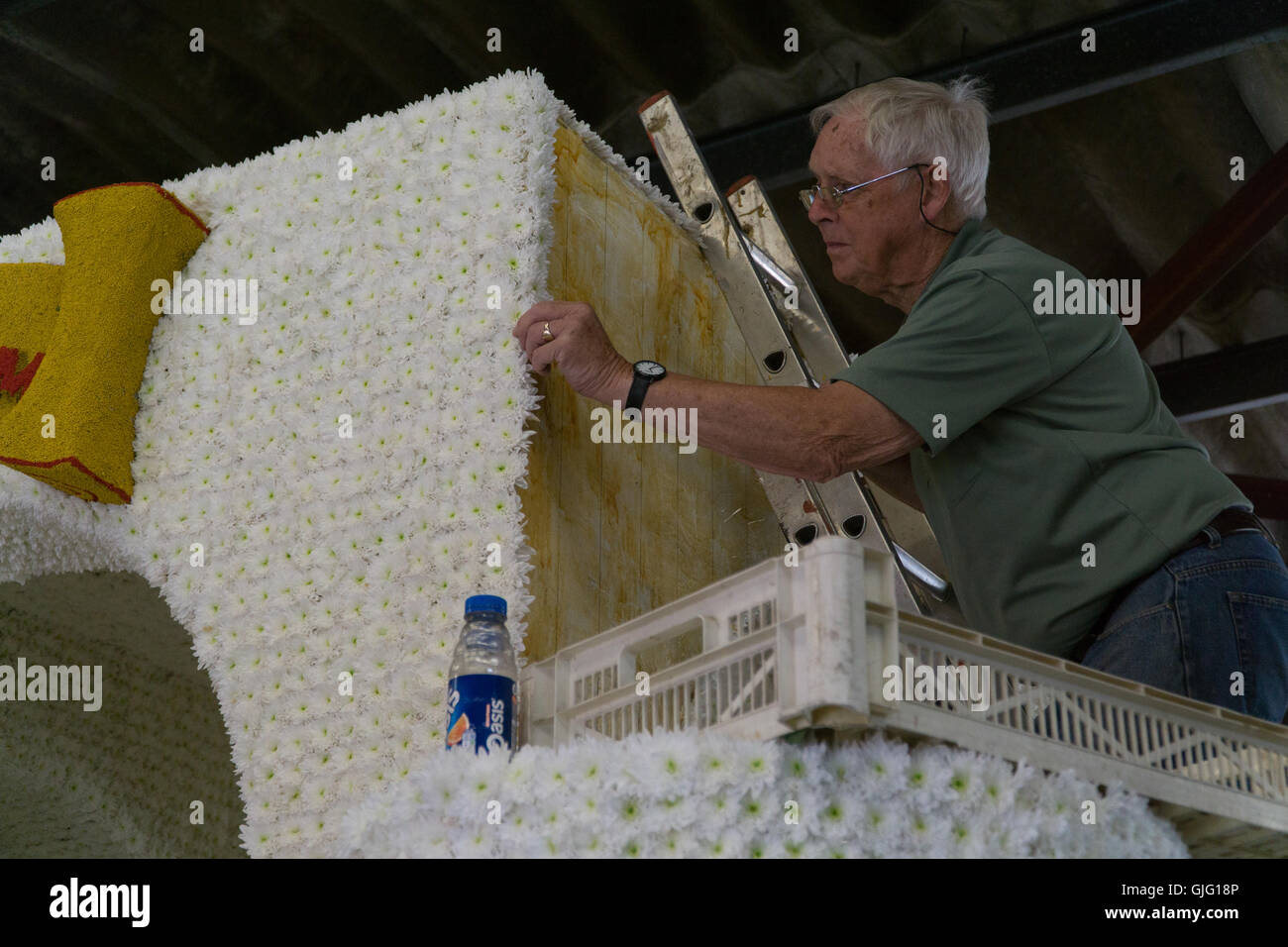 Preparation of floral floats for the annual Battle of Flowers,Jersey