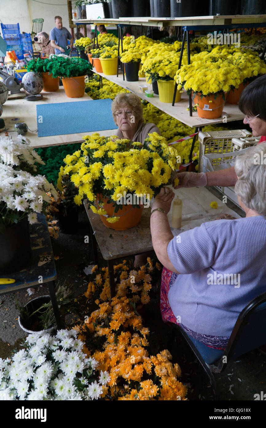 Preparation of floral floats for the annual Battle of Flowers,Jersey
