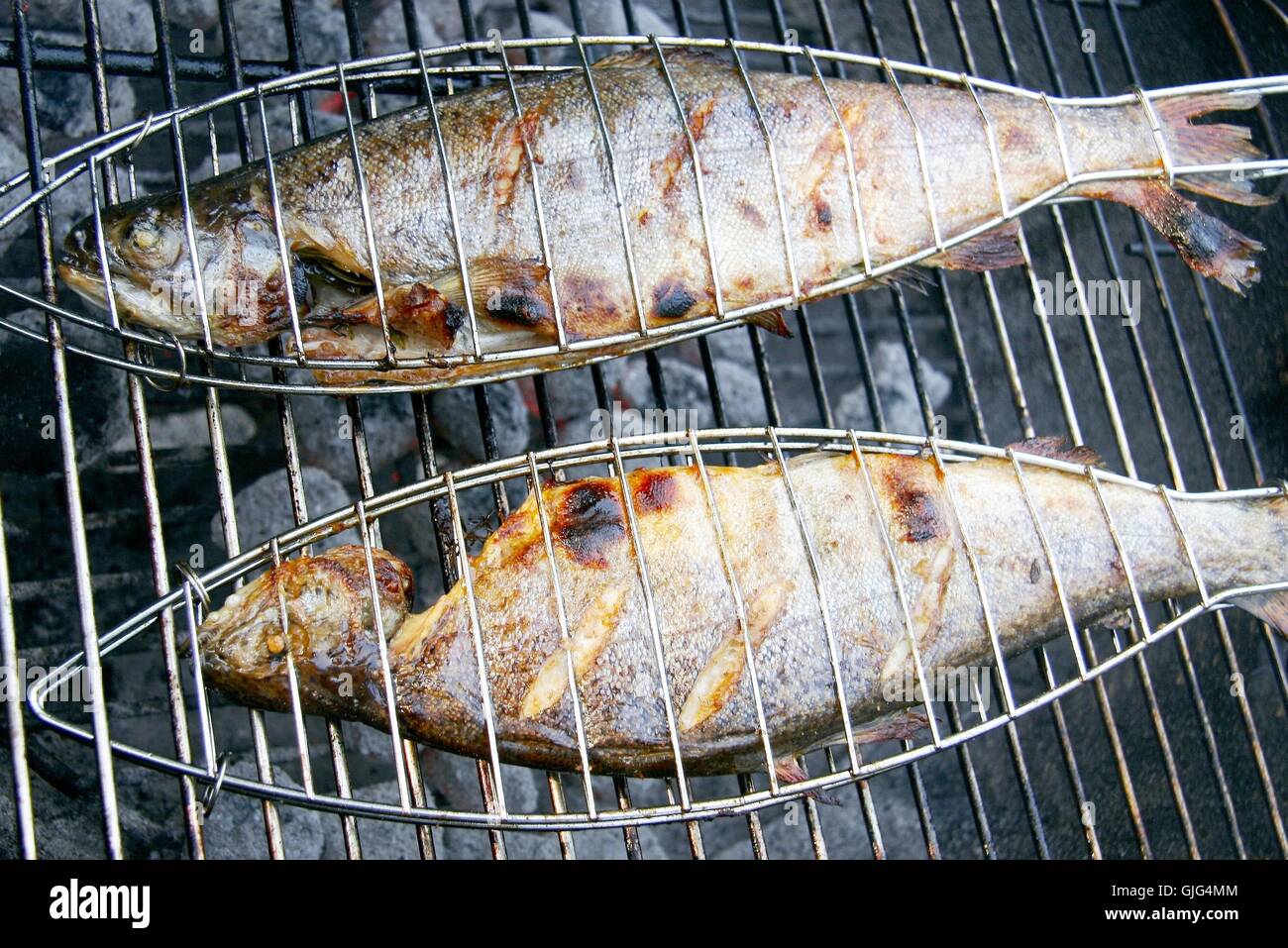 Grilled Trout Stock Photo 114680964 Alamy