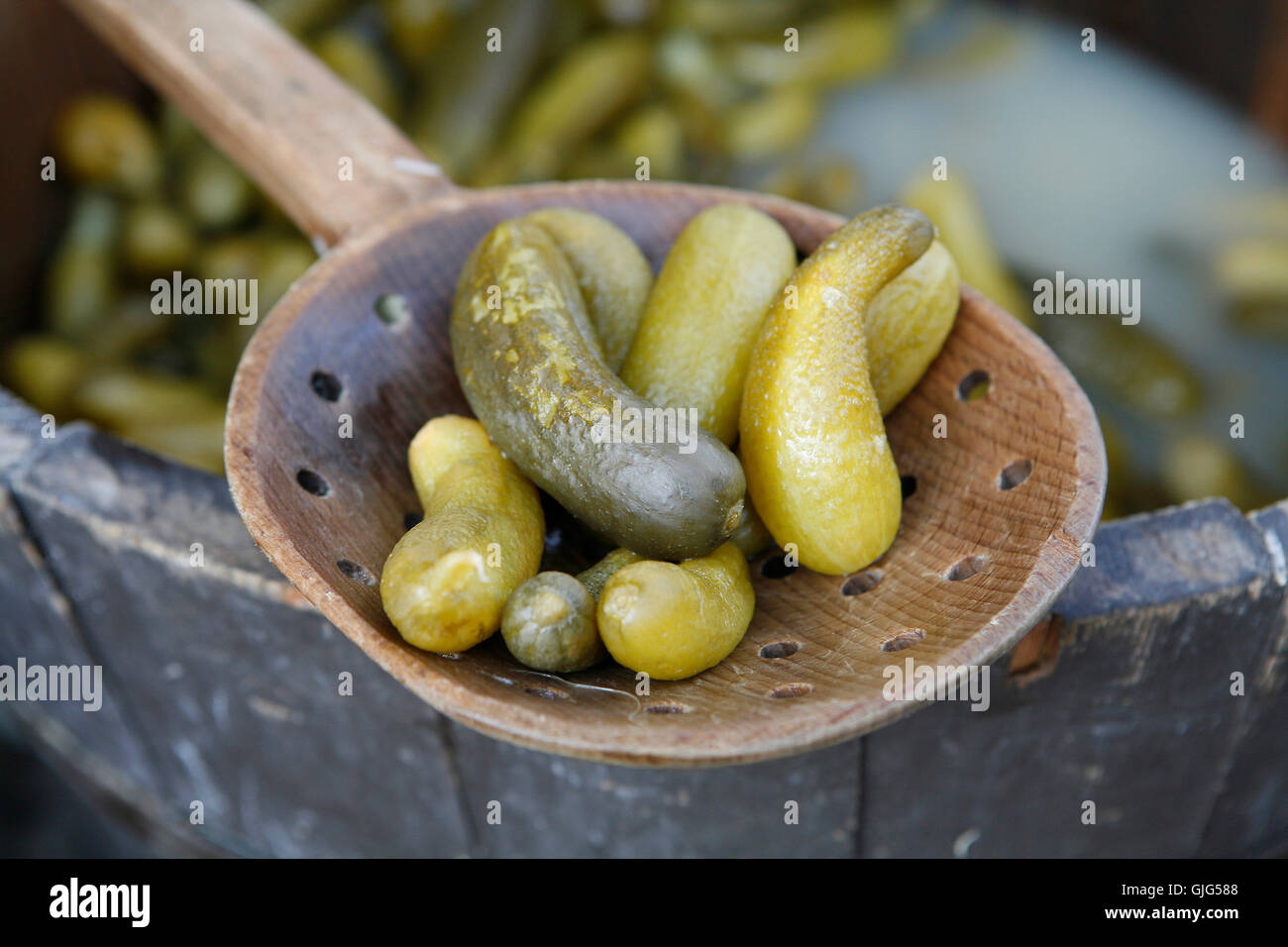 spice green cucumber Stock Photo