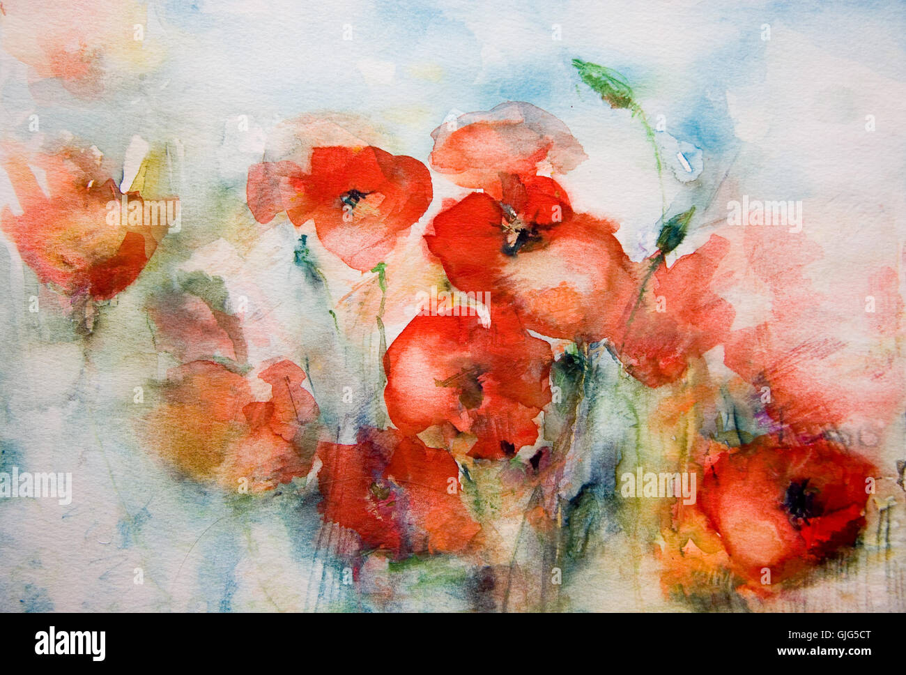 Watercolor poppies hi-res stock photography and images - Alamy