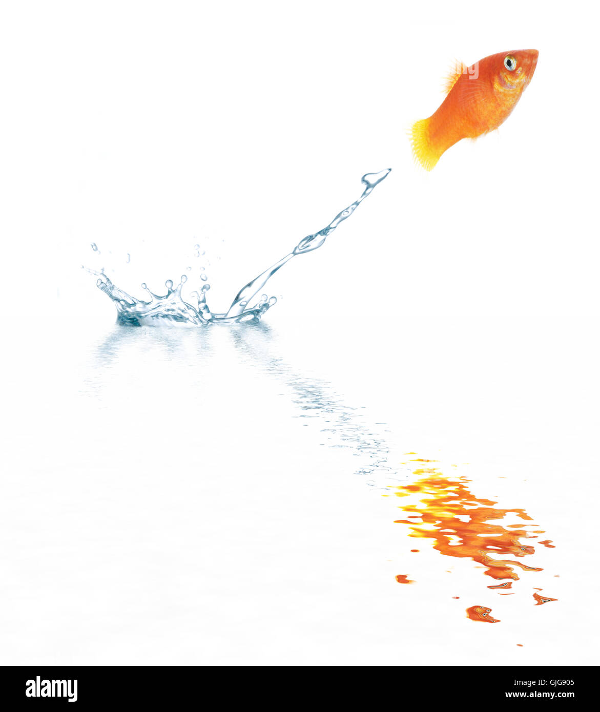 Motion inspiration Cut Out Stock Images Pictures Alamy Motion inspiration Cut Out Stock Images Pictures Alamy