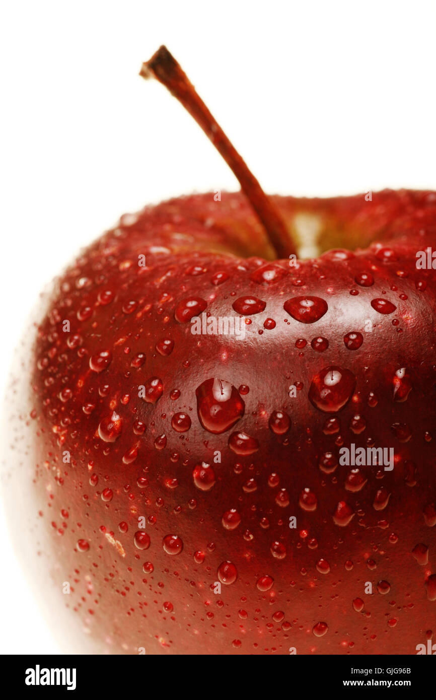 apple Stock Photo