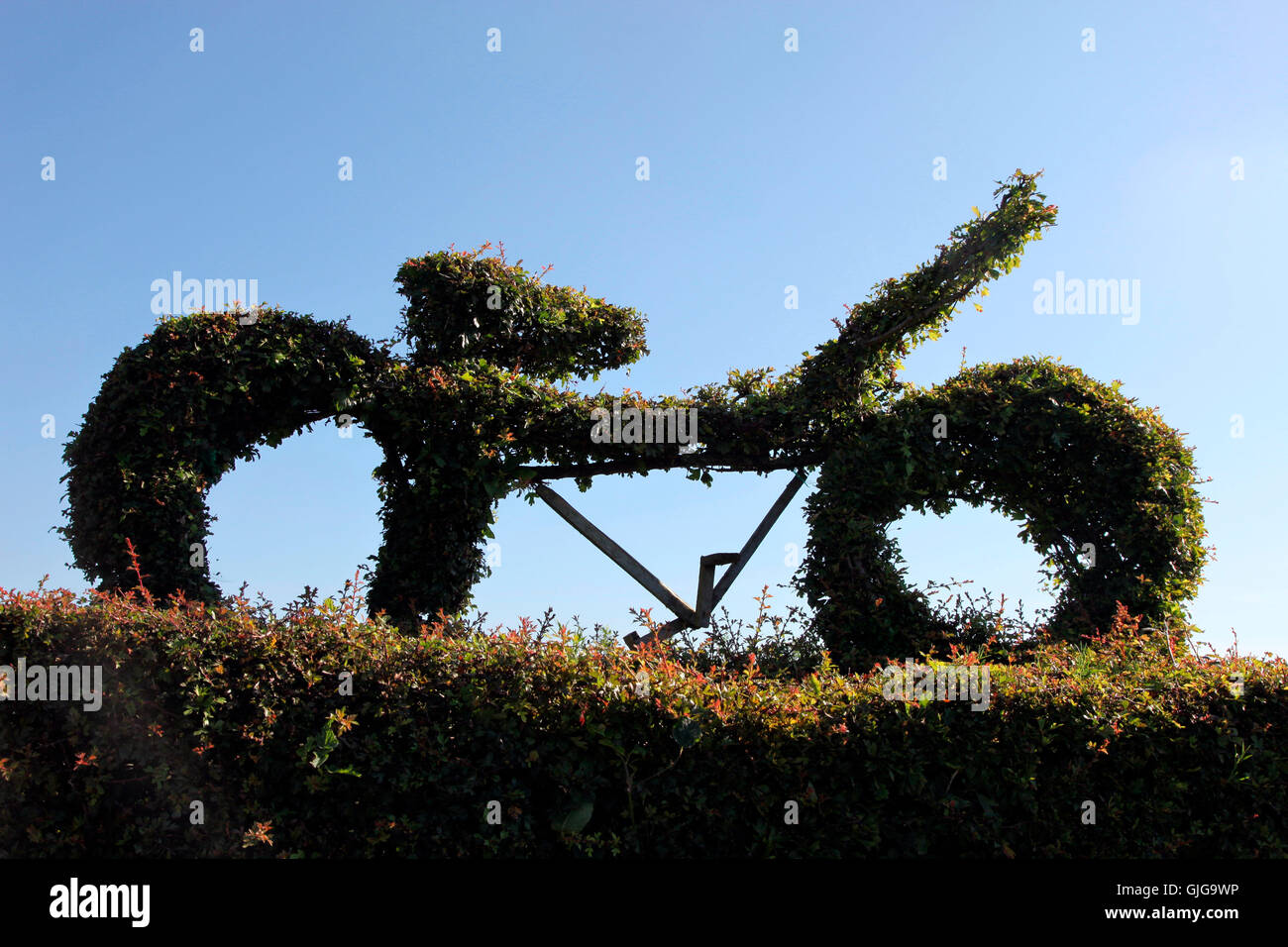 Topiary bicycle, Carrickmacross Stock Photo