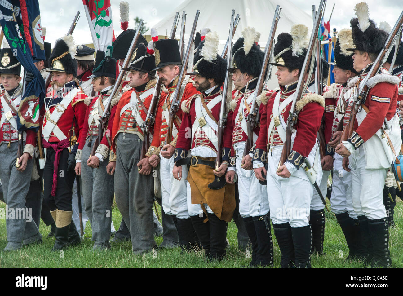 Coldstream Regiment of Foot Guards on the battlefield of a Napoleonic