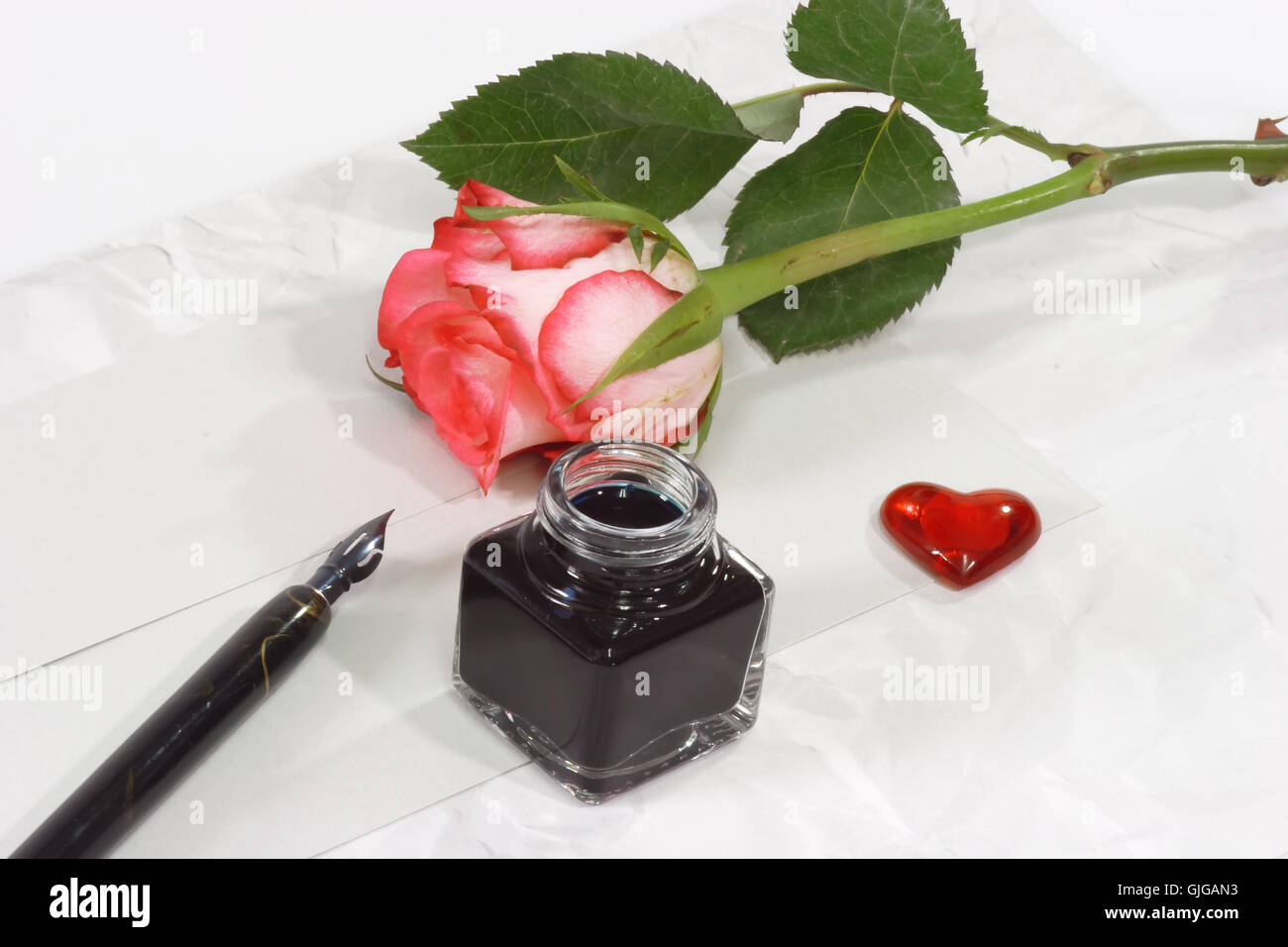 feeling flower rose Stock Photo Alamy