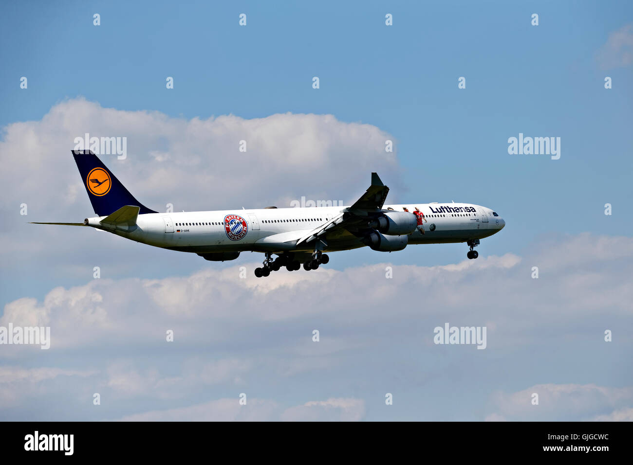 Lufthansa Airbus A340-600 Mainz with Bavarian football team mural, approach to landing at Franz Josef Strauss Airport, Munich Stock Photo