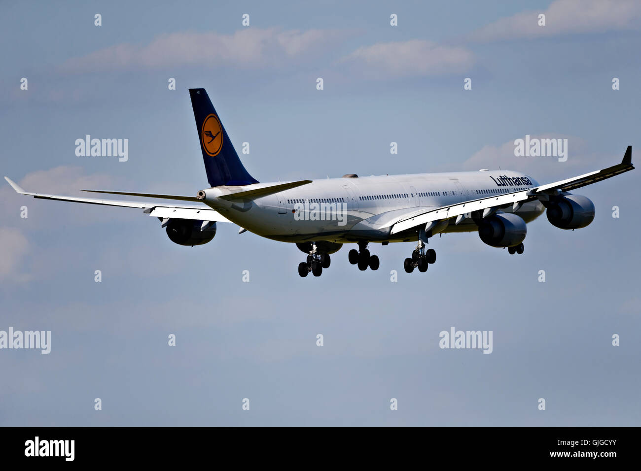 Lufthansa Airbus A340-800 on approach to landing at Franz Josef Strauss Airport, Munich, Upper Bavaria, Germany, Europe. Stock Photo