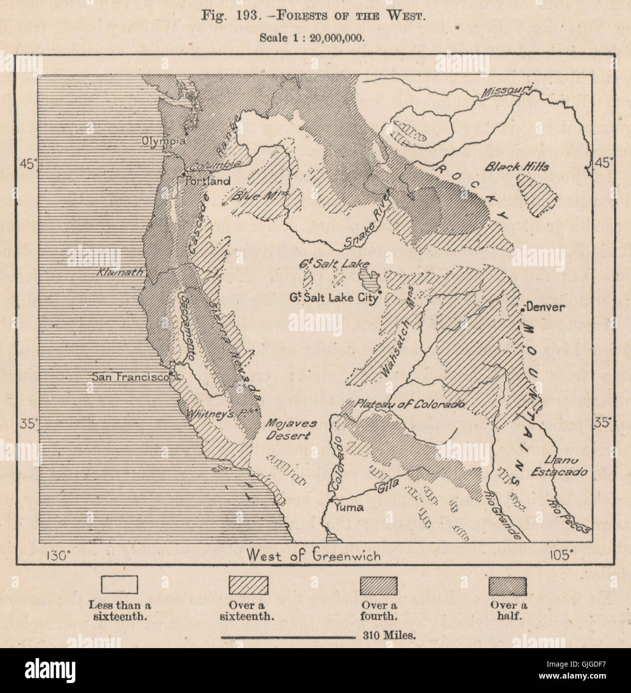 Forests of the West. USA, 1885 antique map Stock Photo