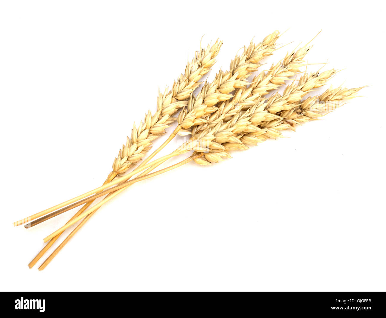 wheat isolated on white background Stock Photo