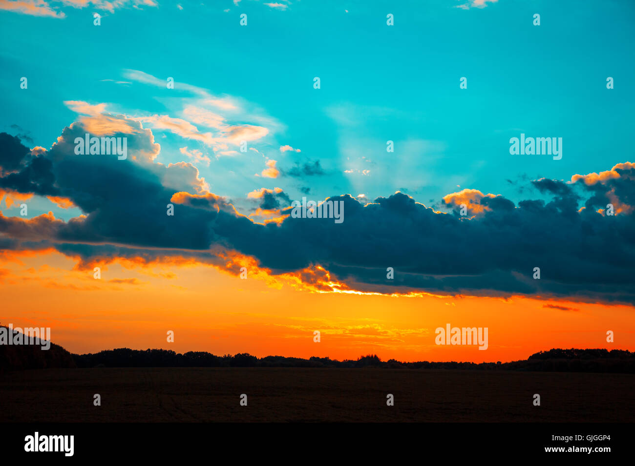 Beautiful blazing sunset landscape at over the meadow and orange sky ...