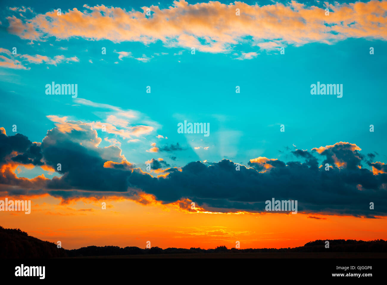 Beautiful blazing sunset landscape at over the meadow and orange sky ...