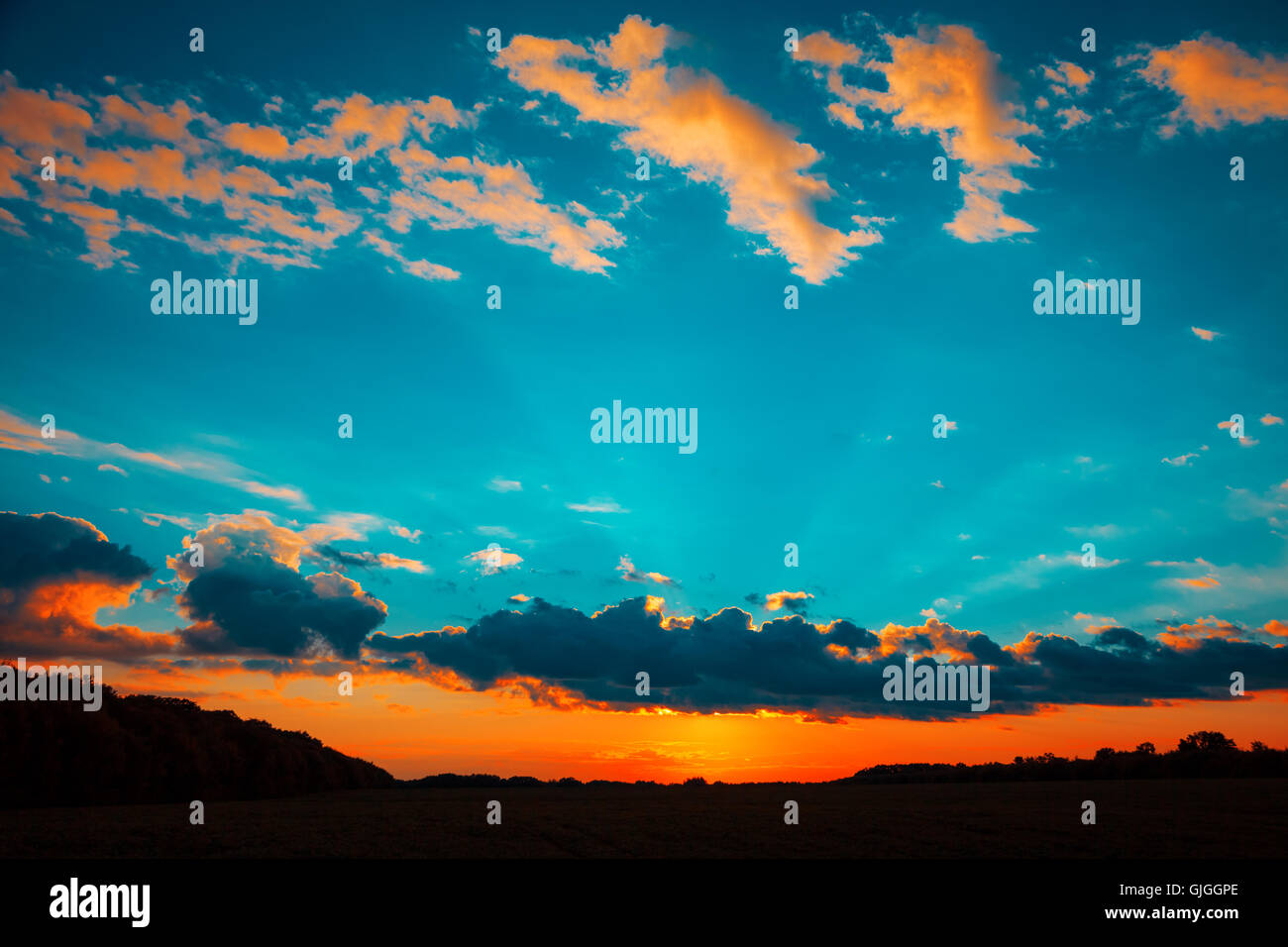 Beautiful blazing sunset landscape at over the meadow and orange sky ...