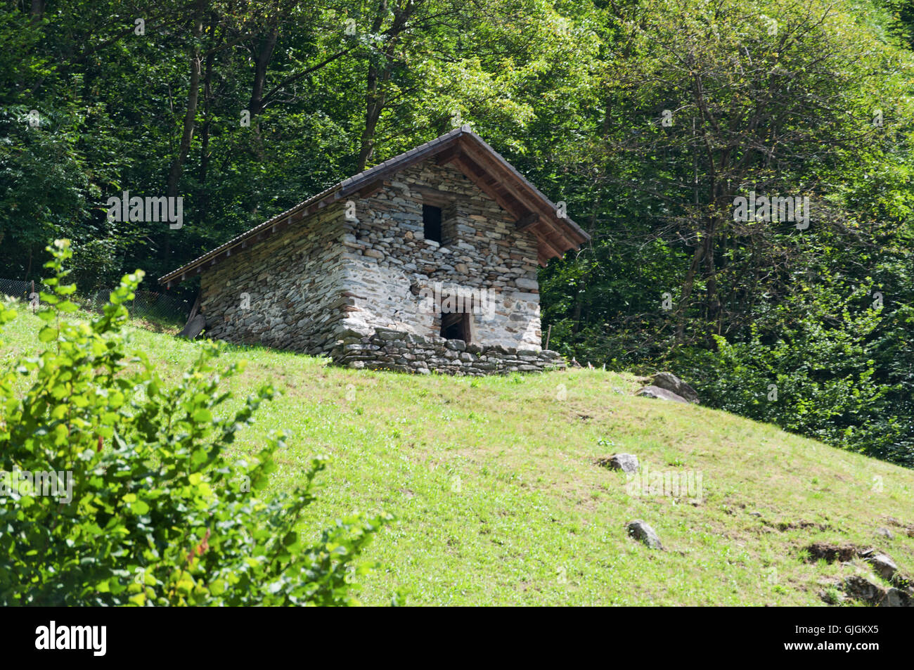 Switzerland, Europe: view of a cabin in a green meadow in Lavertezzo, an old village in the Canton of Ticino Stock Photo