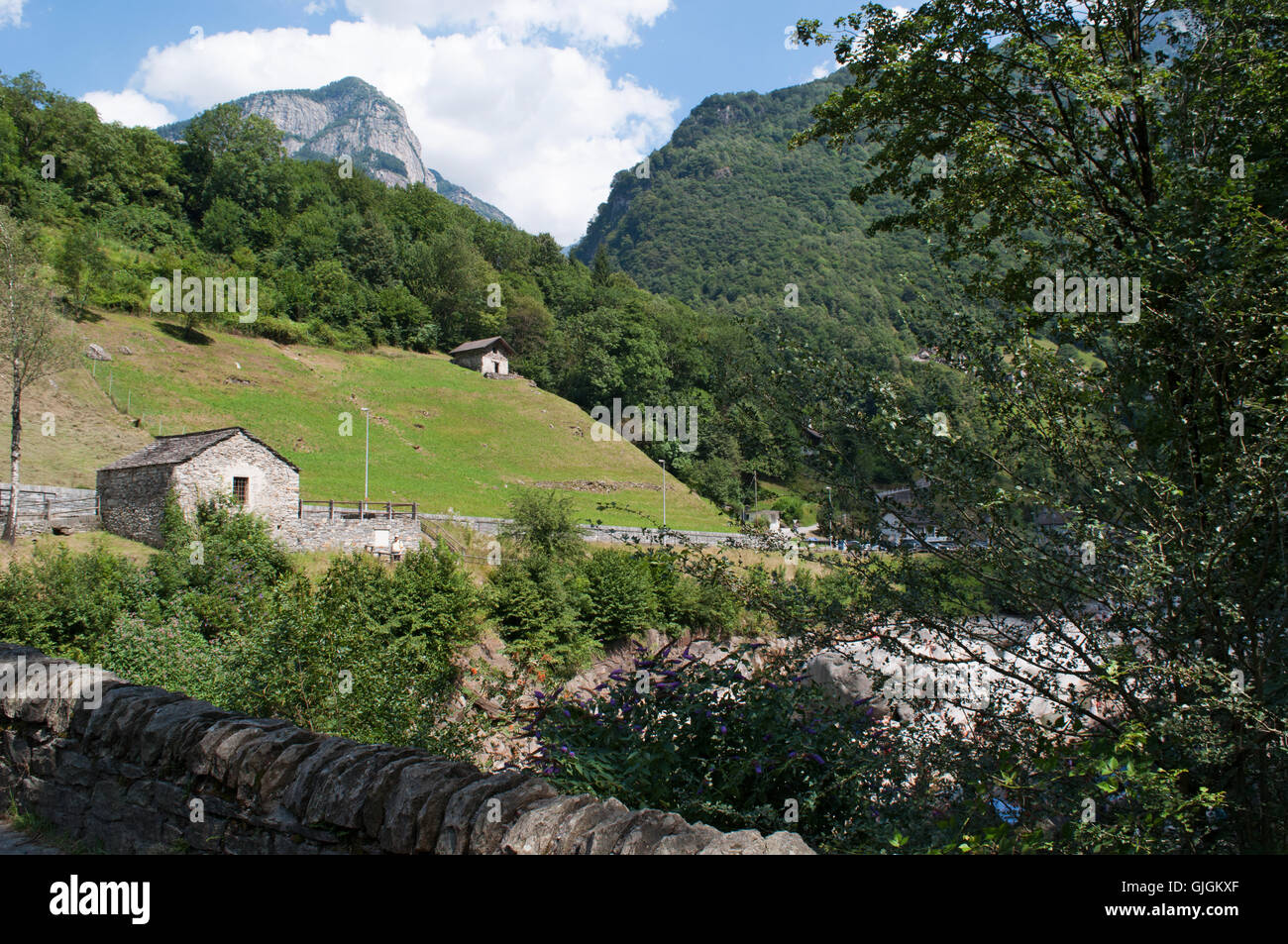 Switzerland, Europe: view of a cabin in a green meadow in Lavertezzo, an old village in the Canton of Ticino Stock Photo