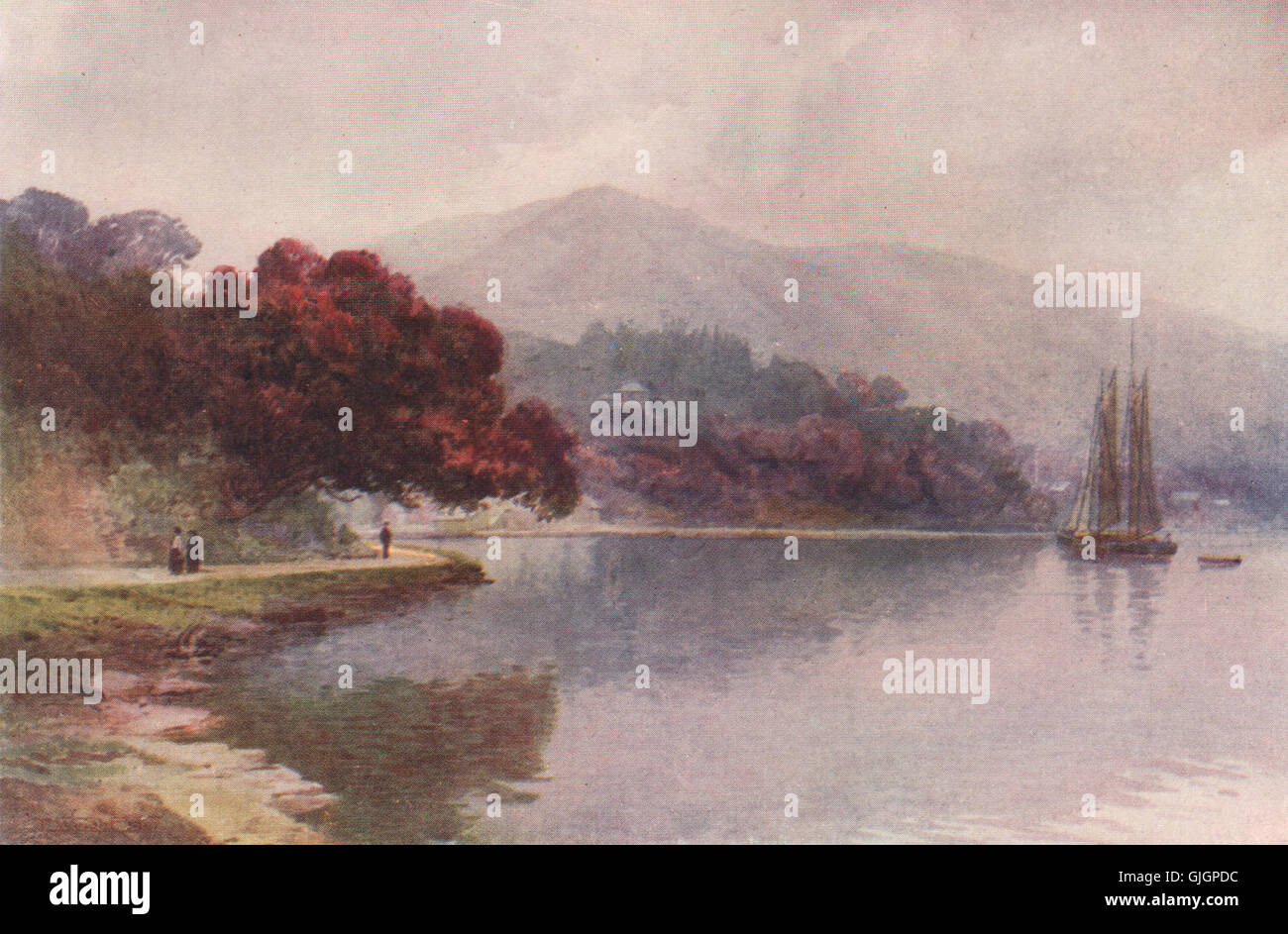 Whangaroa Harbour/' by Frank Wright New Zealand 1908 old print /'Waihi Bay