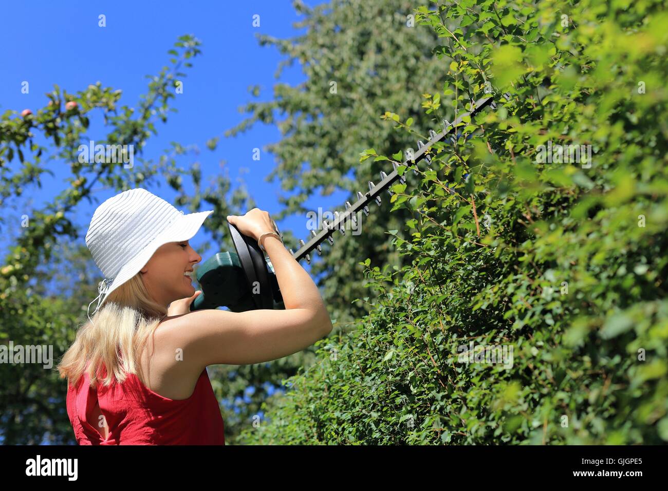 Woman trimming hedge hires stock photography and images Alamy