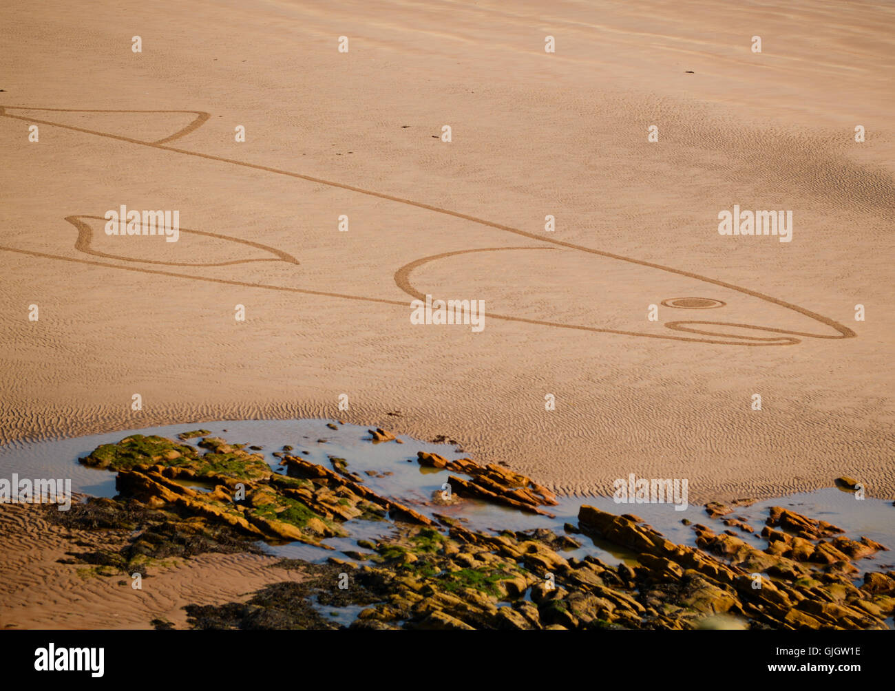 Spittal, Berwick upon Tweed, Northumberland, UK. 16 Aug 2016. Sean Corcoran, 'The Art Hand' from Bunmahon, Co. Waterford, Ireland creates massive sand art drawings with a rake on Irish beaches.  Following on from the success of at the Ardmore Pattern Festival, Sean’s first international assignment as a sand artist is in Spittal Seaside Festival in Northumberland.  Sean's final piece of work was a Salmon created to remember and celebrate the Salmon Fishers of the River Tweed, his 400 foot long salmon was on the site of Huds Head fishery. Stock Photo