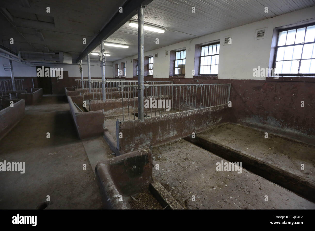 Collins bay institution hi res stock photography and images alamy