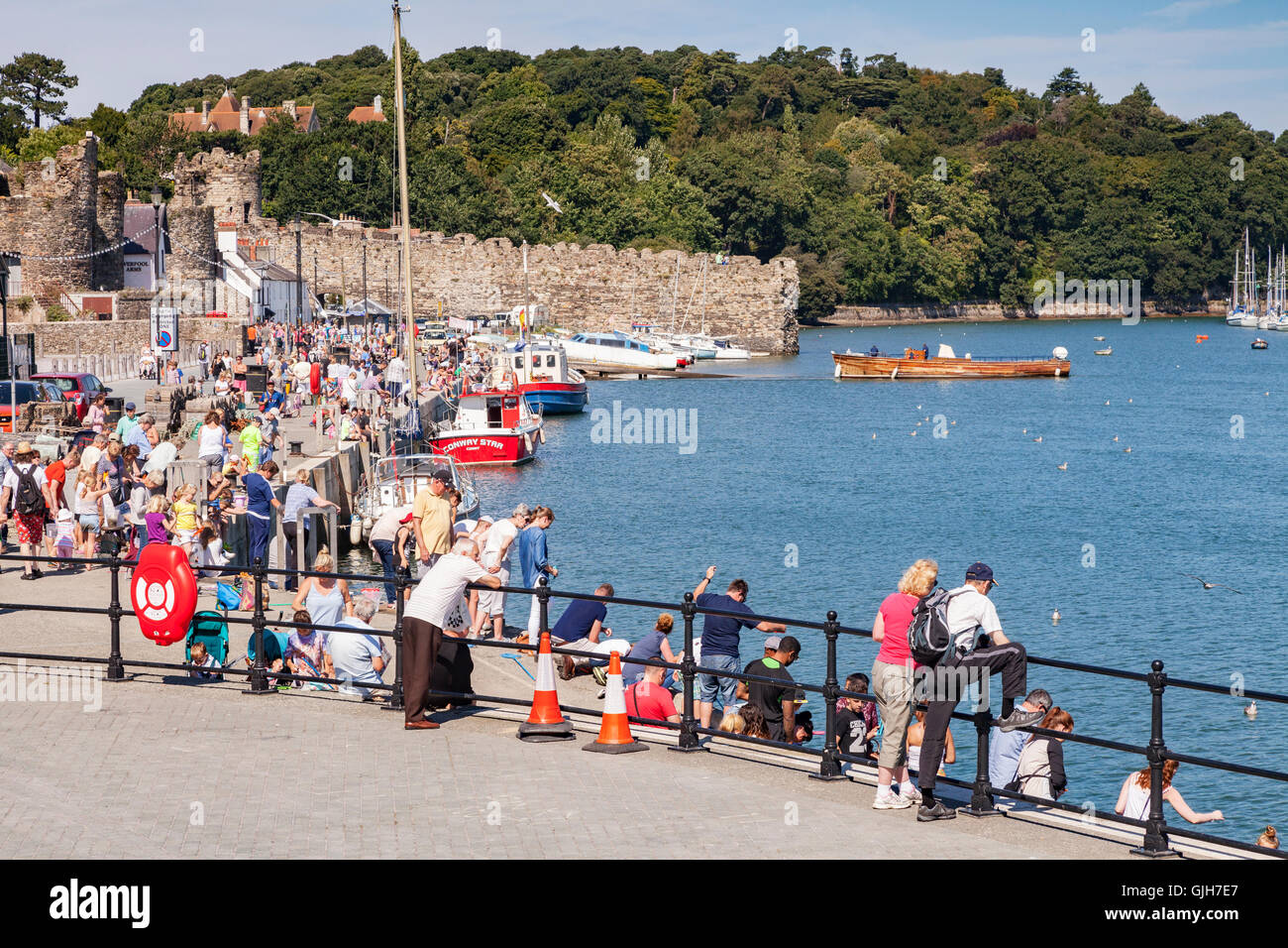 Conwy, North Wales, UK. 17th August 2016. Crowds on the medieval quay
