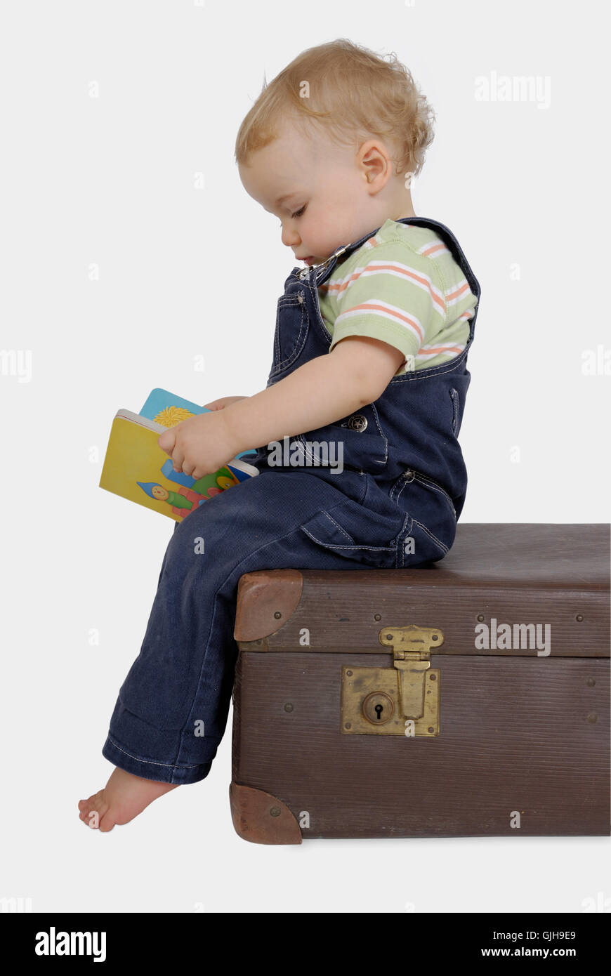 bookworm Stock Photo - Alamy