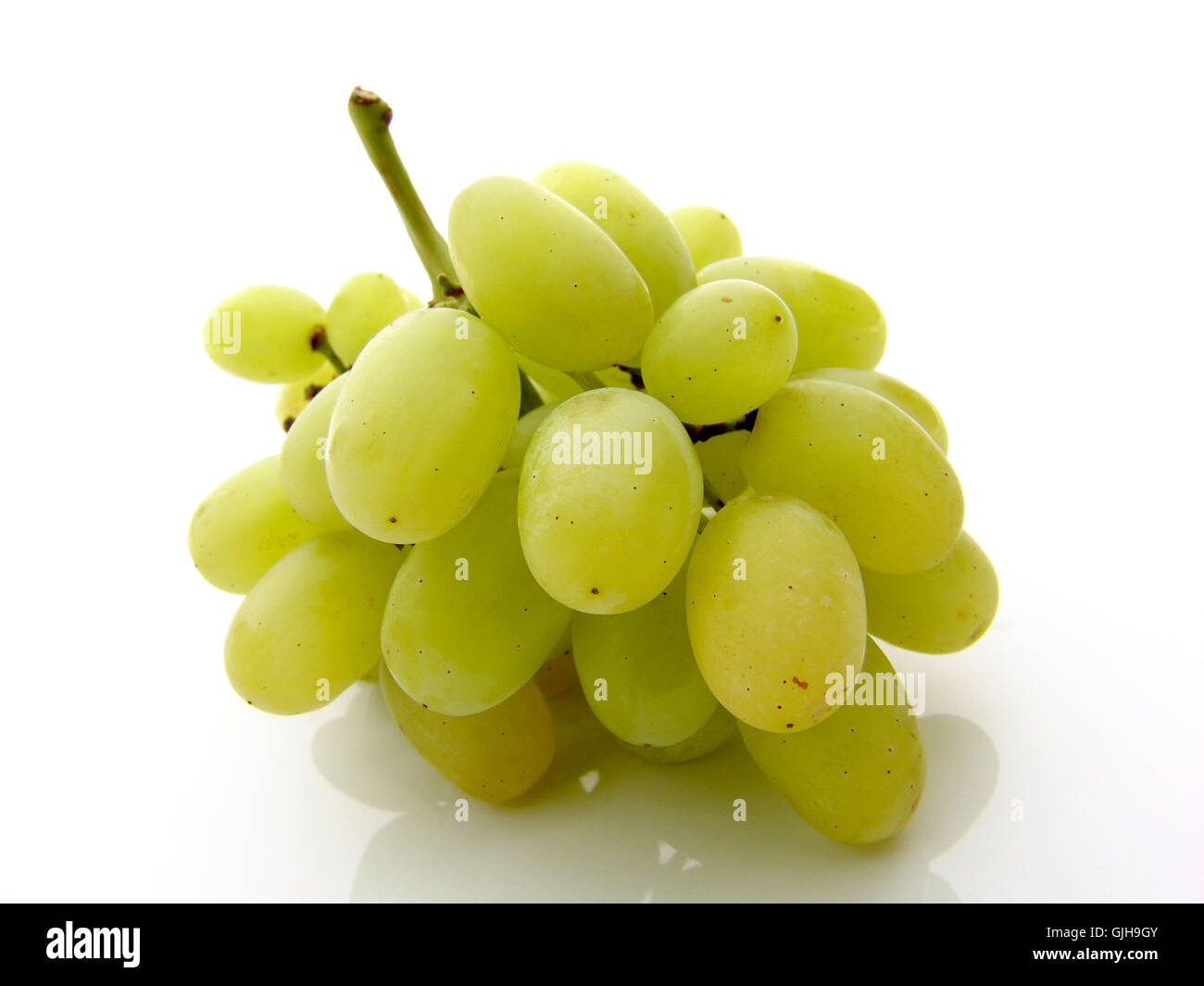 Ochslegrad hi-res stock photography and images - Alamy