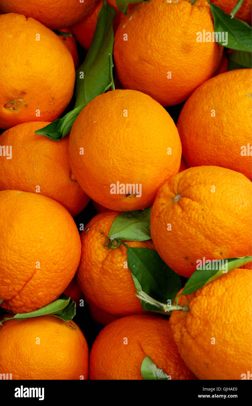 oranges 001 Stock Photo