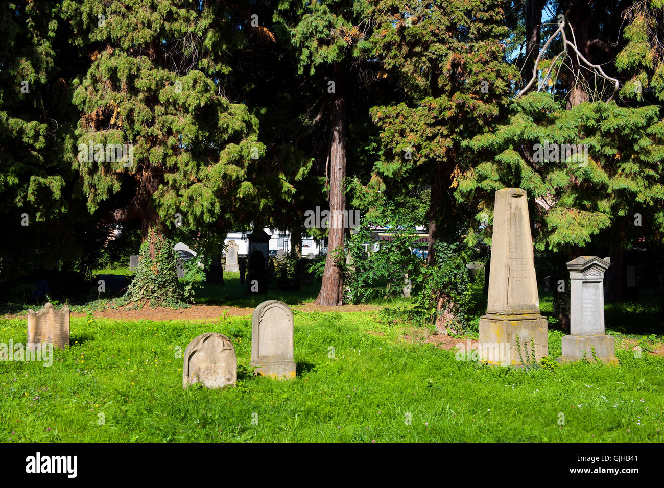 BRD, Deutschland, NRW, Rhein-Erft-Kreis, Brühl, jüdischer Friedhof 1371 erstmals urkundlich erwähnt, doch ist die Existenz einer Jüdischen Gemeind Stock Photo