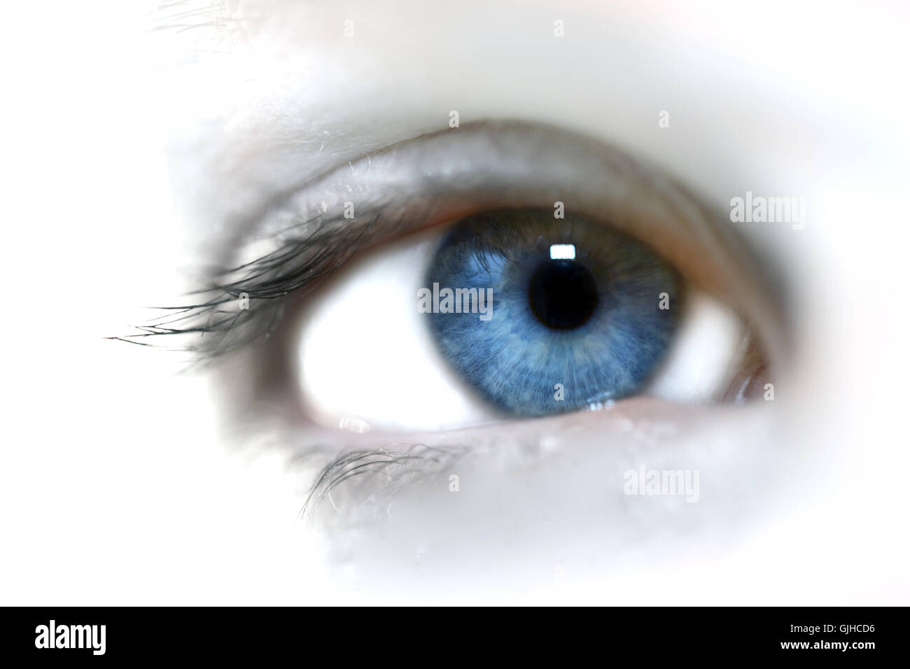 Woman eye close up hi-res stock photography and images - Alamy