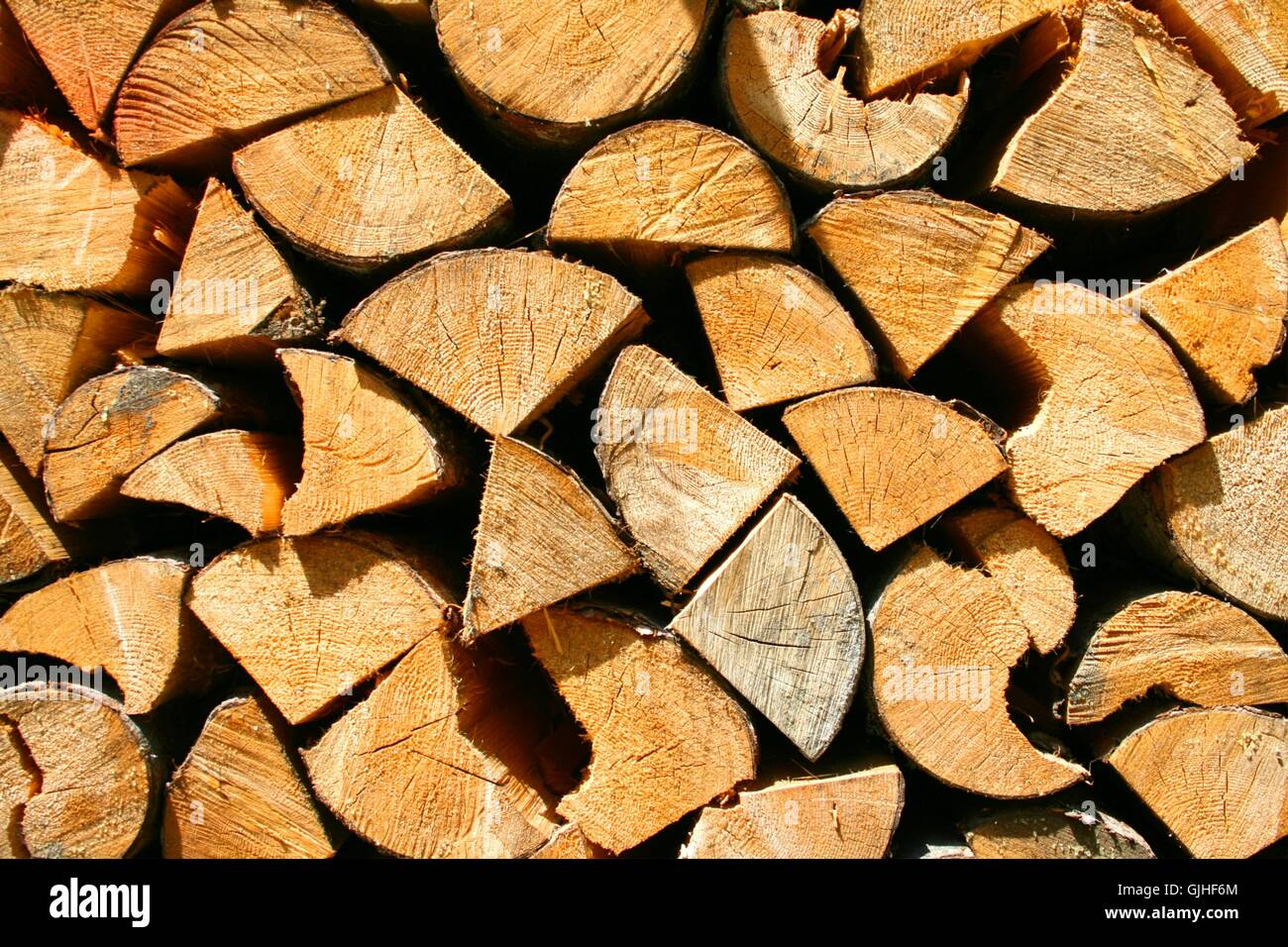 tree wood brown Stock Photo