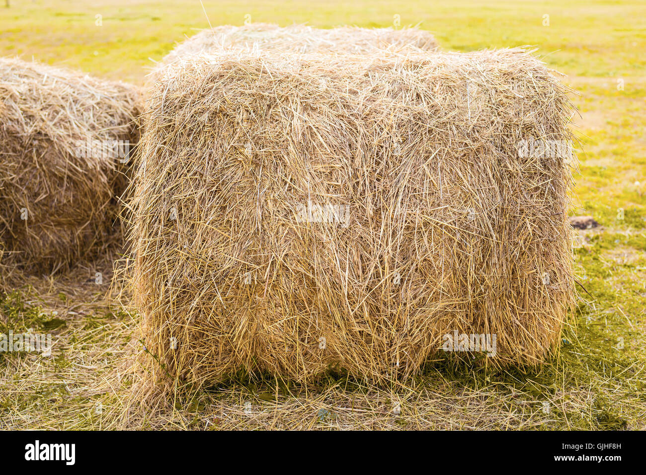 Hay bales on the field after harvest Stock Photo - Alamy