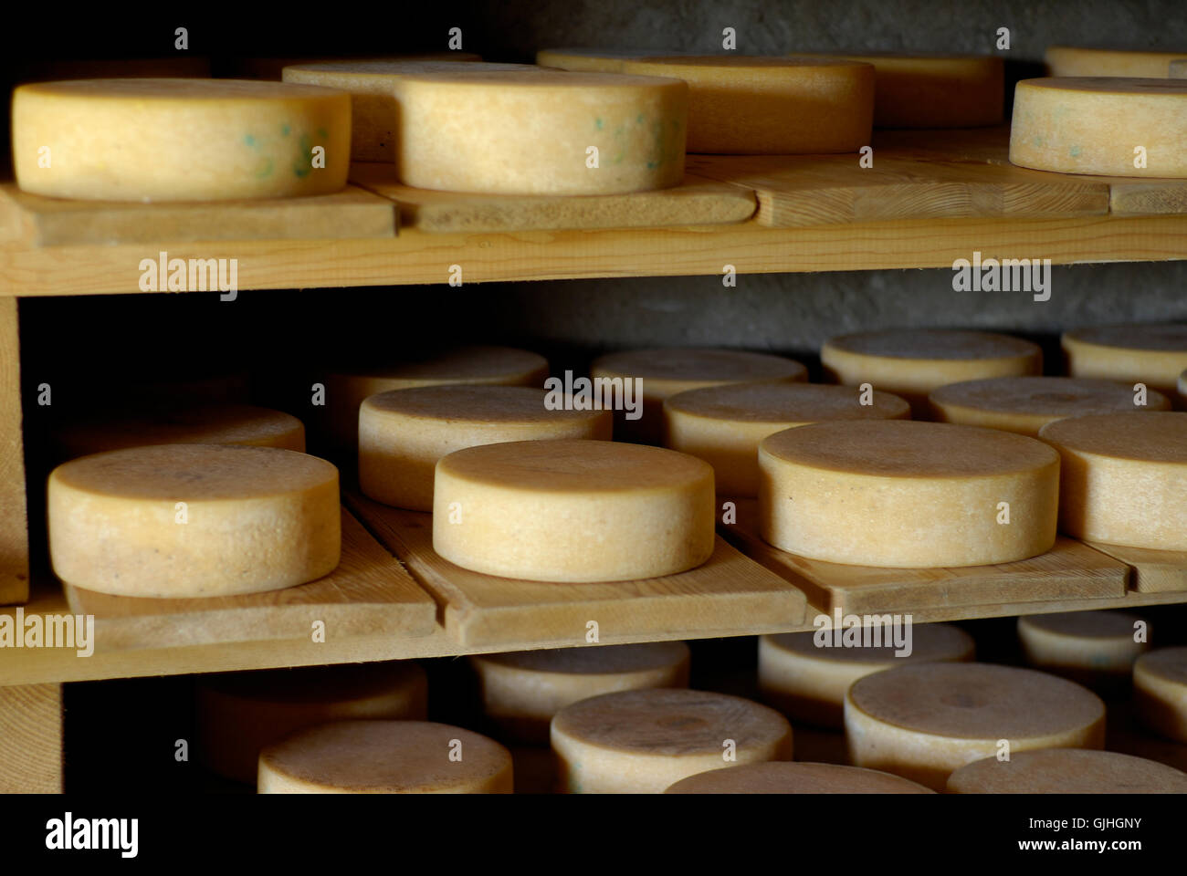 cheese 5 Stock Photo
