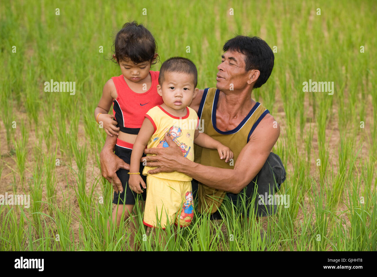 family in the paddy field Stock Photo
