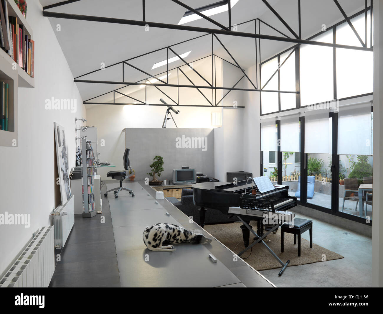 piano and dalmatian loft Stock Photo
