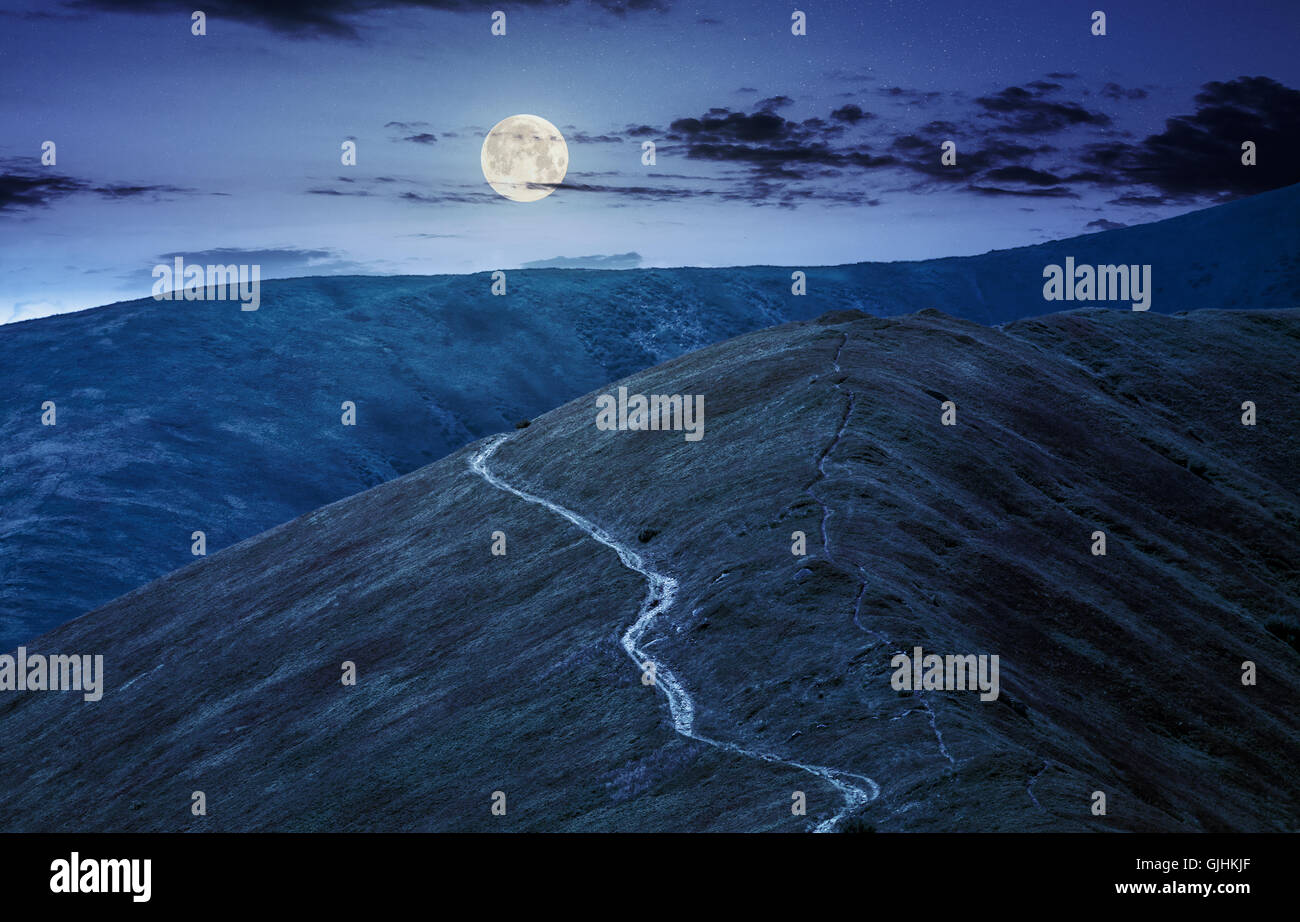 winding road through large meadows on the hillside of Polonina mountain range at night in full moon light Stock Photo