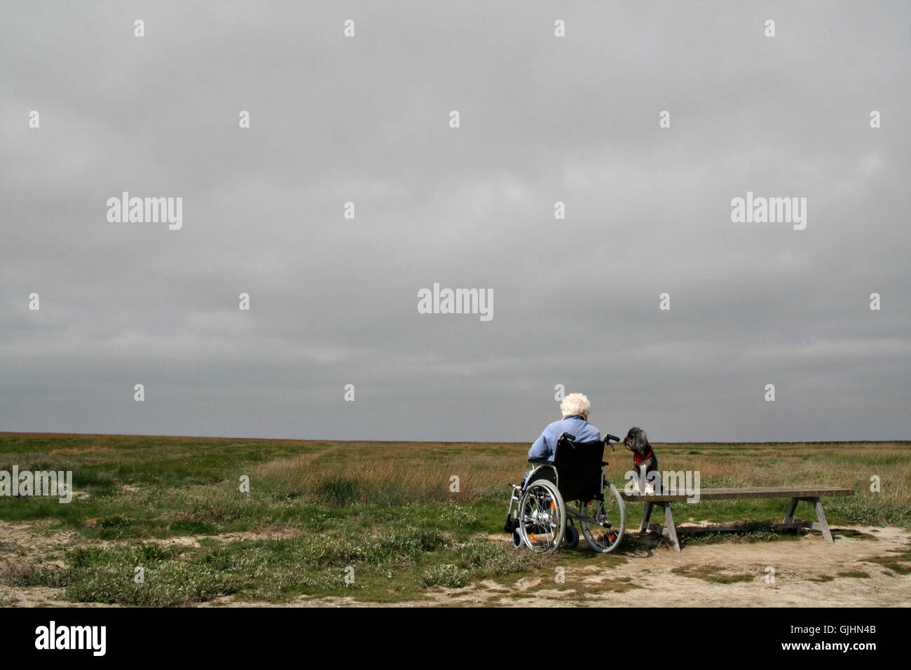 Old woman in wheelchair hi-res stock photography and images - Alamy