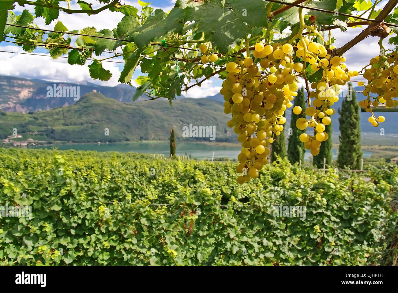 caldaro ii Stock Photo