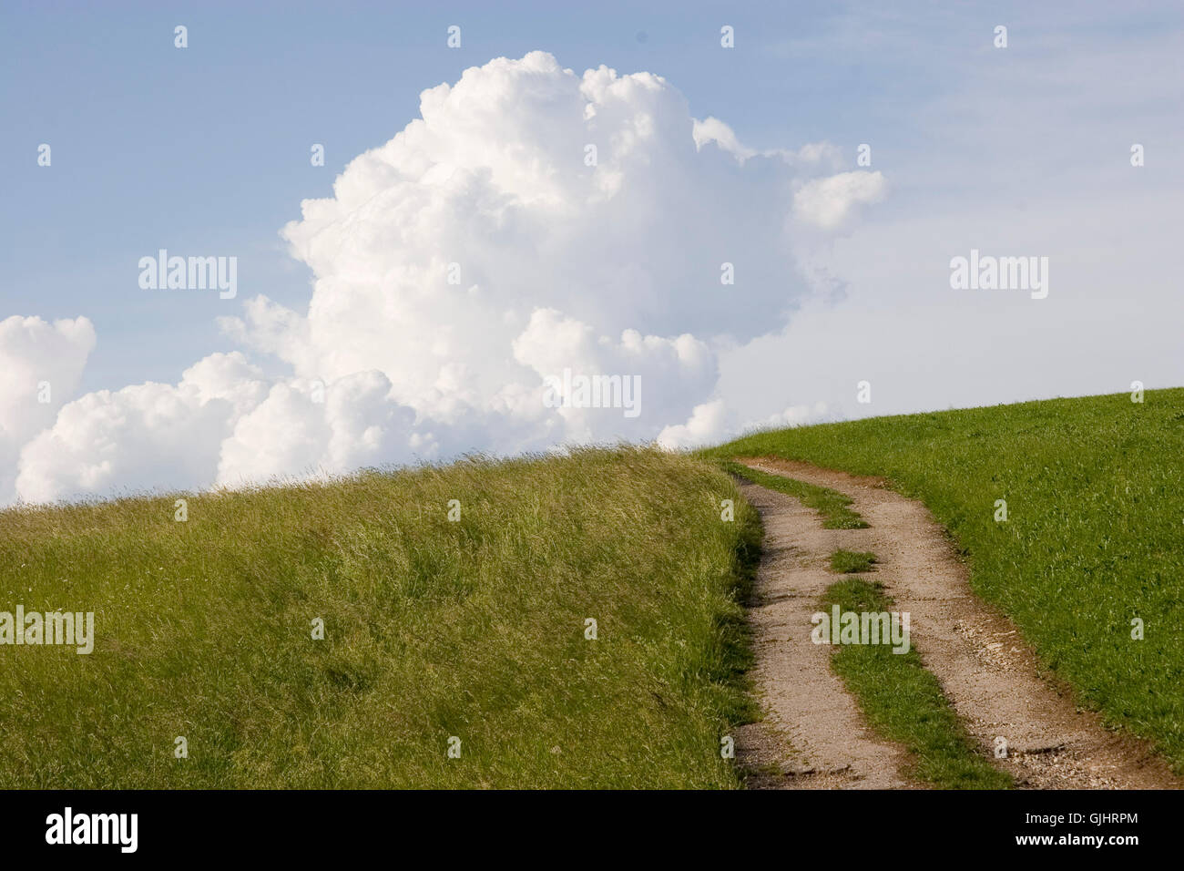green path way Stock Photo - Alamy